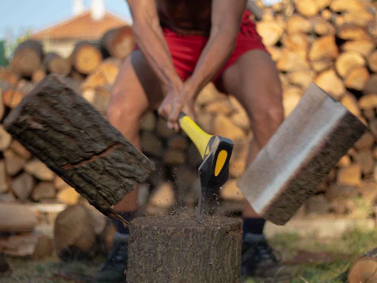 Emergency Storm Tree Removal in Buchanan Dam, TX